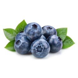 САДЖАНЦІ ЛОХИНИ