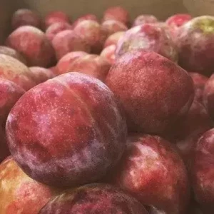 Изображение товара -  Плумкот (слива-абрикос) Кінг Конг