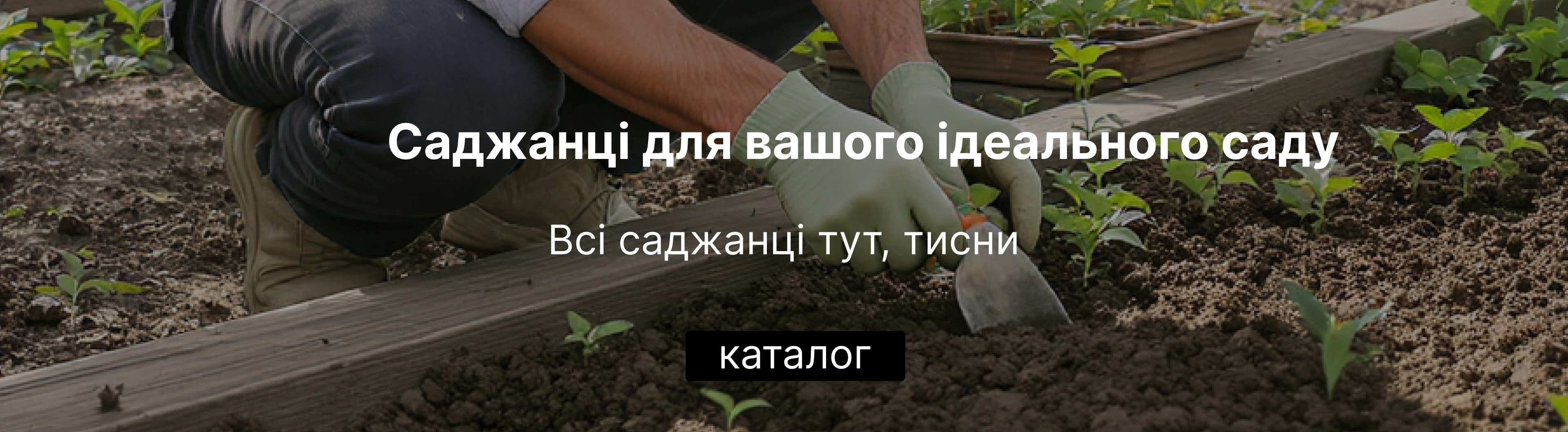 Слайдер 1