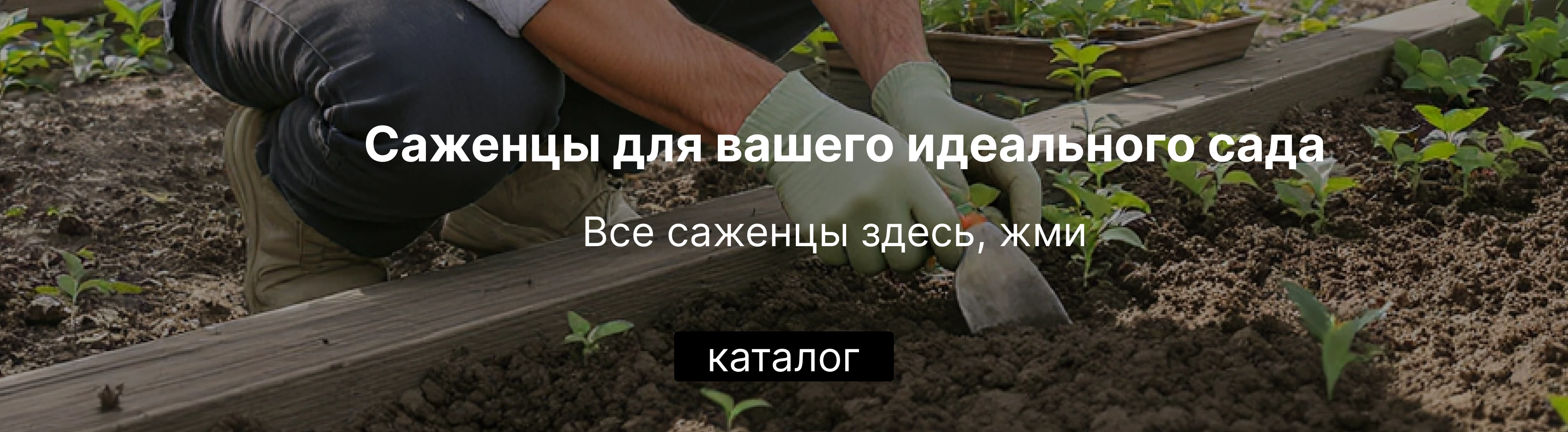 Контакты