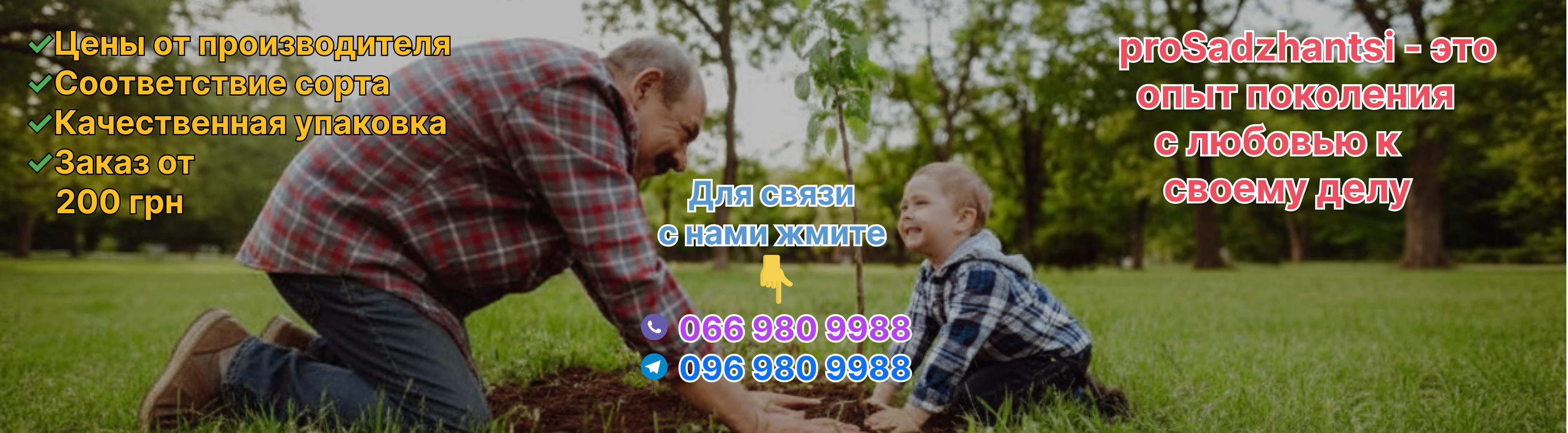 Слайдер 1