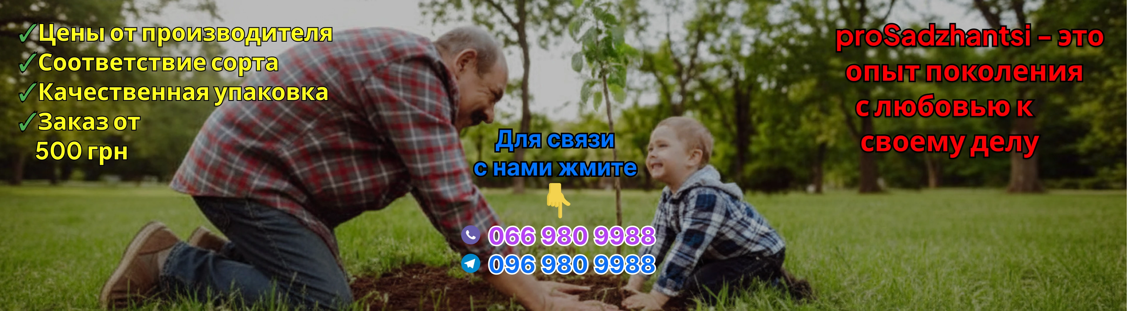 Слайдер 1