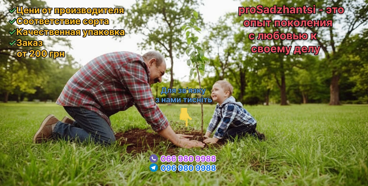 Слайдер 1