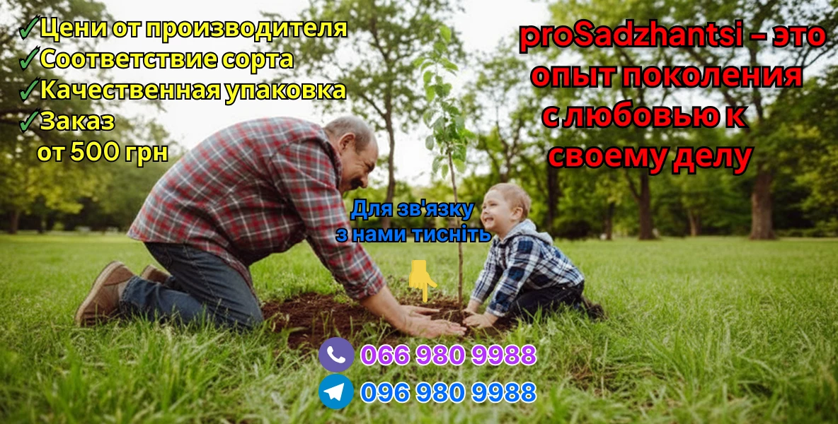 Слайдер 1