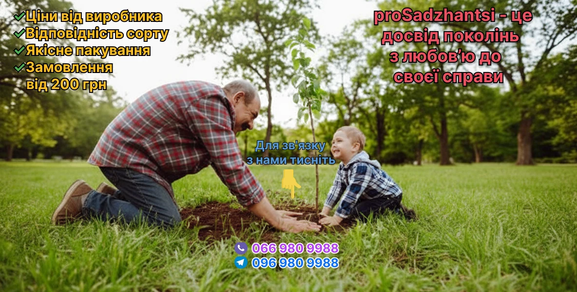 Слайдер 1