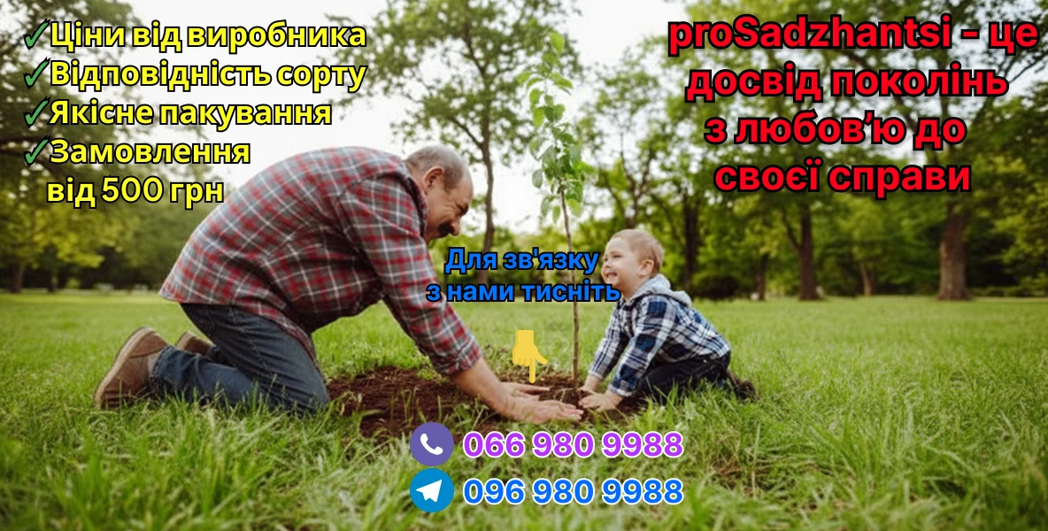 Слайдер 1